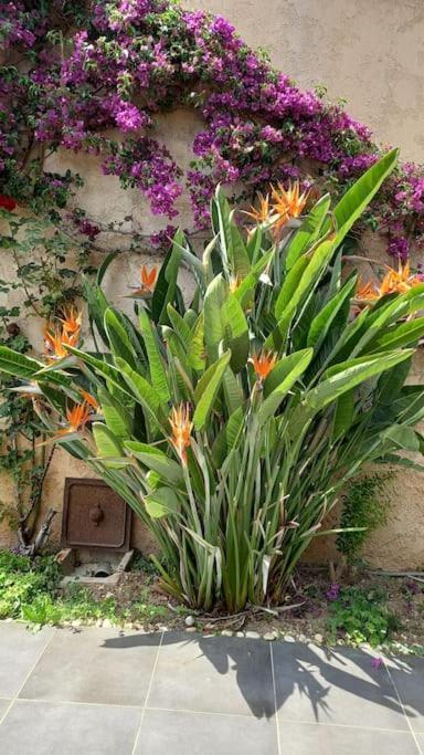 הייר Appartement En Rez De Jardin Et Terrasse Ds Villa מראה חיצוני תמונה